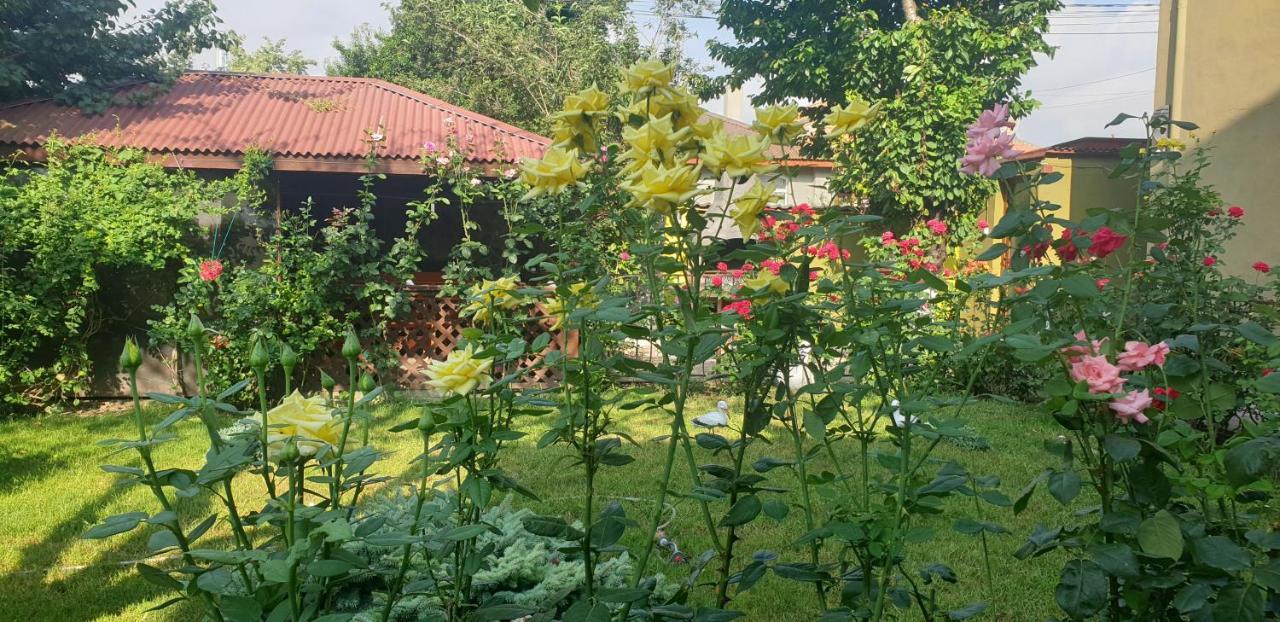 Villa Mugur Două Mai Zewnętrze zdjęcie