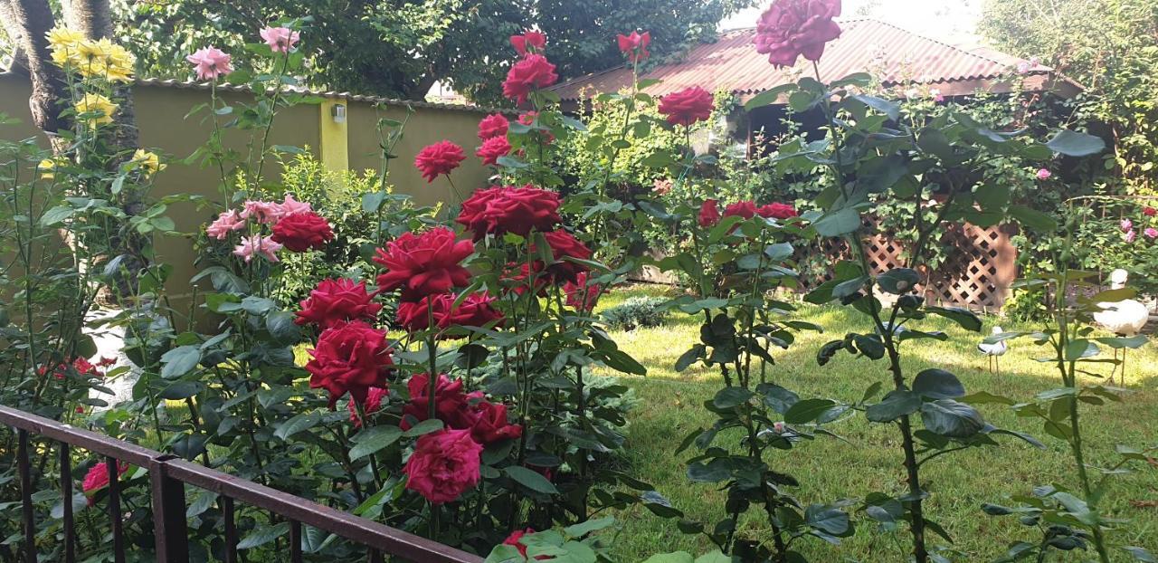 Villa Mugur Două Mai Zewnętrze zdjęcie