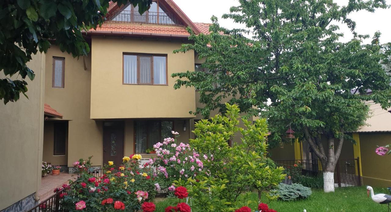 Villa Mugur Două Mai Zewnętrze zdjęcie